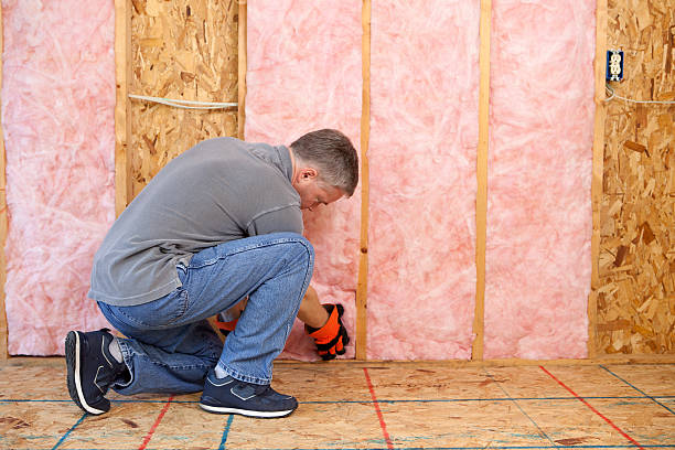 Professional Insulation Contractor in TX