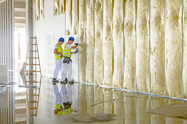 Best Types of Insulation in George West, TX